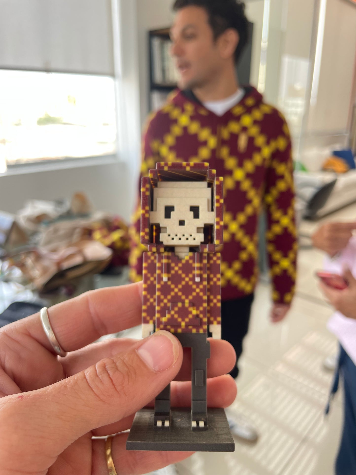 Alpaca “Cult” Hoodie